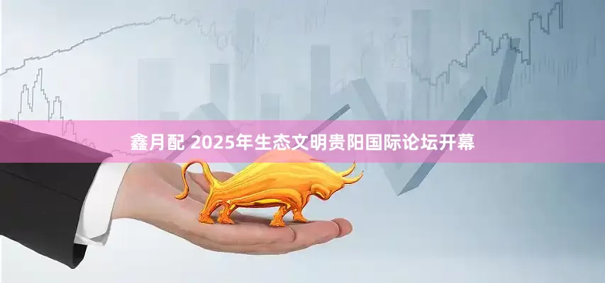 鑫月配 2025年生态文明贵阳国际论坛开幕