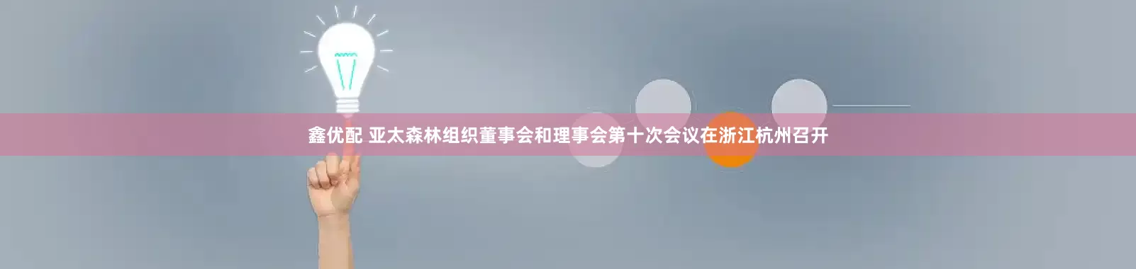 鑫优配 亚太森林组织董事会和理事会第十次会议在浙江杭州召开