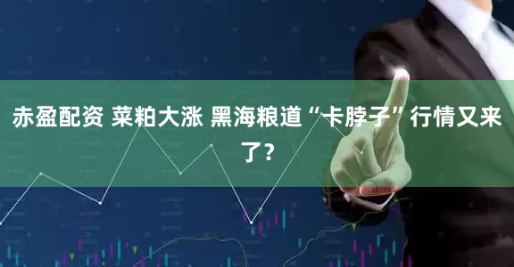 赤盈配资 菜粕大涨 黑海粮道“卡脖子”行情又来了？